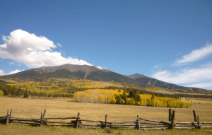 Hart_Prairie_San_Franscisco_Peaks, nick_aflitto