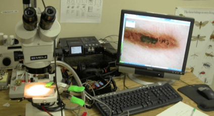 ultrasonic sound recording setup