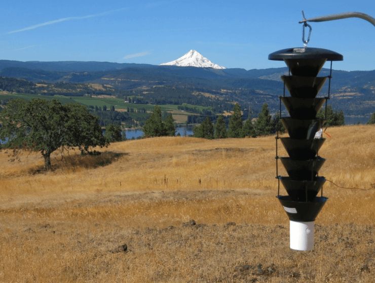 columbia_gorge_funnel_trap.png